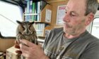 Michael Clarke caught the long eared owl after it landed exhausted on the boat. Image: Benarkle II.