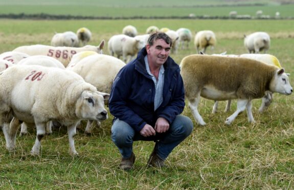 Graham Morrison with his flock in 2018.