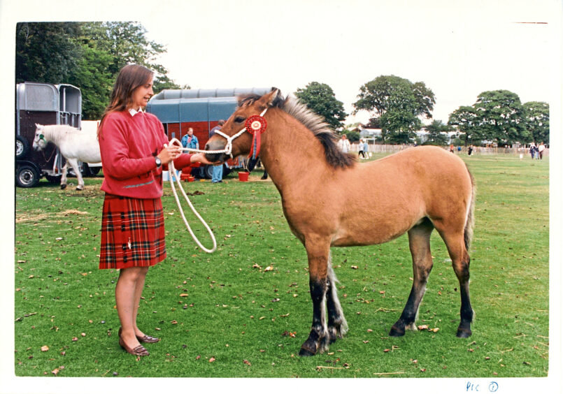 1994 - Karen Stewart with the champion foal at the North-East of Scotland Highland Pony Enthusiasts' Society annual show at Aberdeen