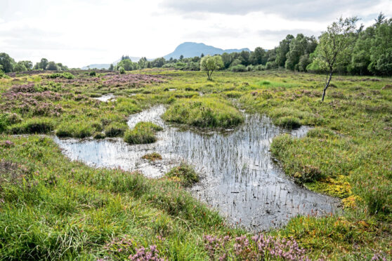 Claims in a previous letter on peatland erosion have been disputed by another reader