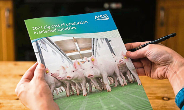 A popular annual report that examines the cost of pig meat production in 17 countries has been published this week by the Agriculture and Horticulture Development Board.