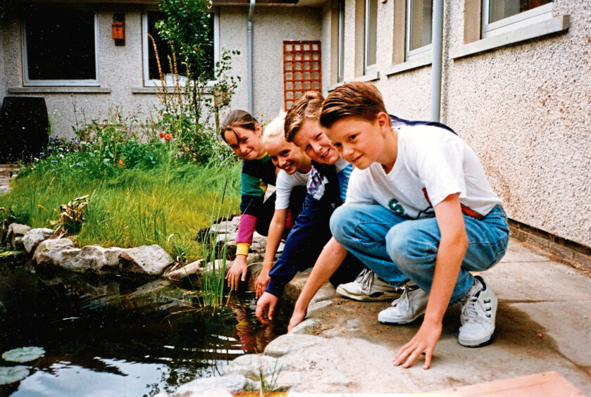 1991 - Green fingered primary seven pupils inspect the pond in the school's environmental area. 