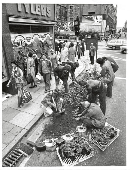 Workmen preparing flowers and shrubs on the street