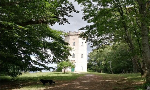 Nelson's Tower on Cluny Hill near Forres. Image: Moray Council.