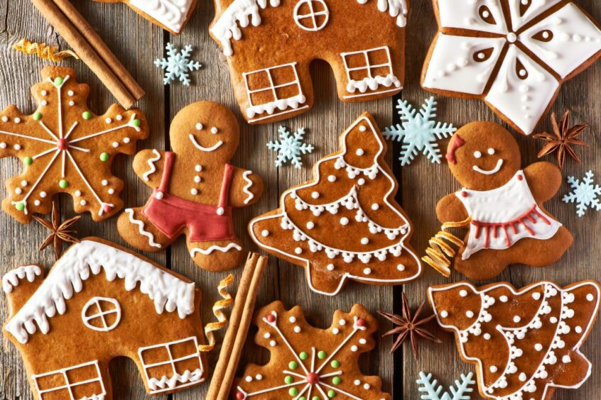 Gingerbread cookies in the shapes of houses, snowflakes, Christmas trees and people.