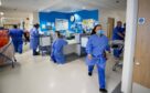 NHS nurses at work in a hospital ward