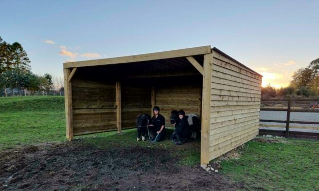 Work has begun to replace the horse shelters which were destroyed during .Image: Scottish SSPCA.