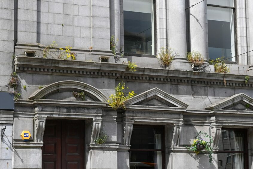 Plants growing out of the walls of granite building on Union Street