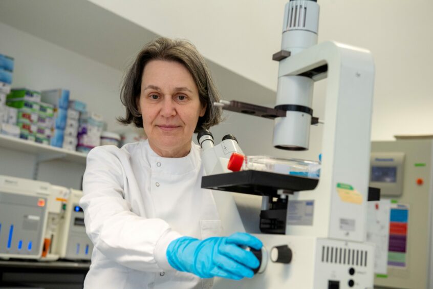 Professor Anne Kiltie carrying out research into how gut bacteria can help cancer patients in Aberdeen. Image: Kath Flannery/ DC Thomson