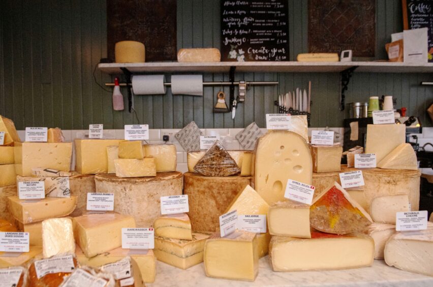 A variety of cheeses available at Gourmet Cheese Co