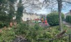 Highland Council's parks team were able to cut the tree into smaller bits to clear away. Image: Ross Hempseed/DC Thomson.