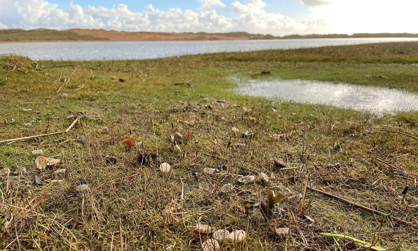 Two-mile clear up at Newburgh beach after Ellon sewage works spill