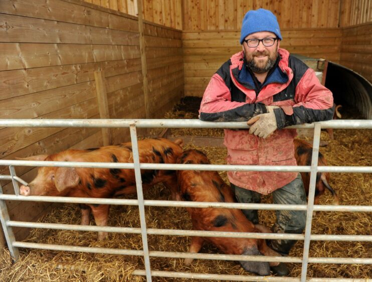 Crofter Jo Hunt with some pigs.