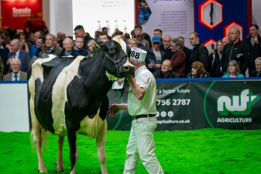 Crowds watching the Supercow 2022 judging at the AgriScot Event. Image: Steve Brown / DC Thomson