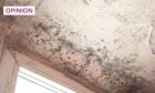 Many renters are forced to live with potentially dangerous mould in their homes. (Image: Fevziie/Shutterstock)