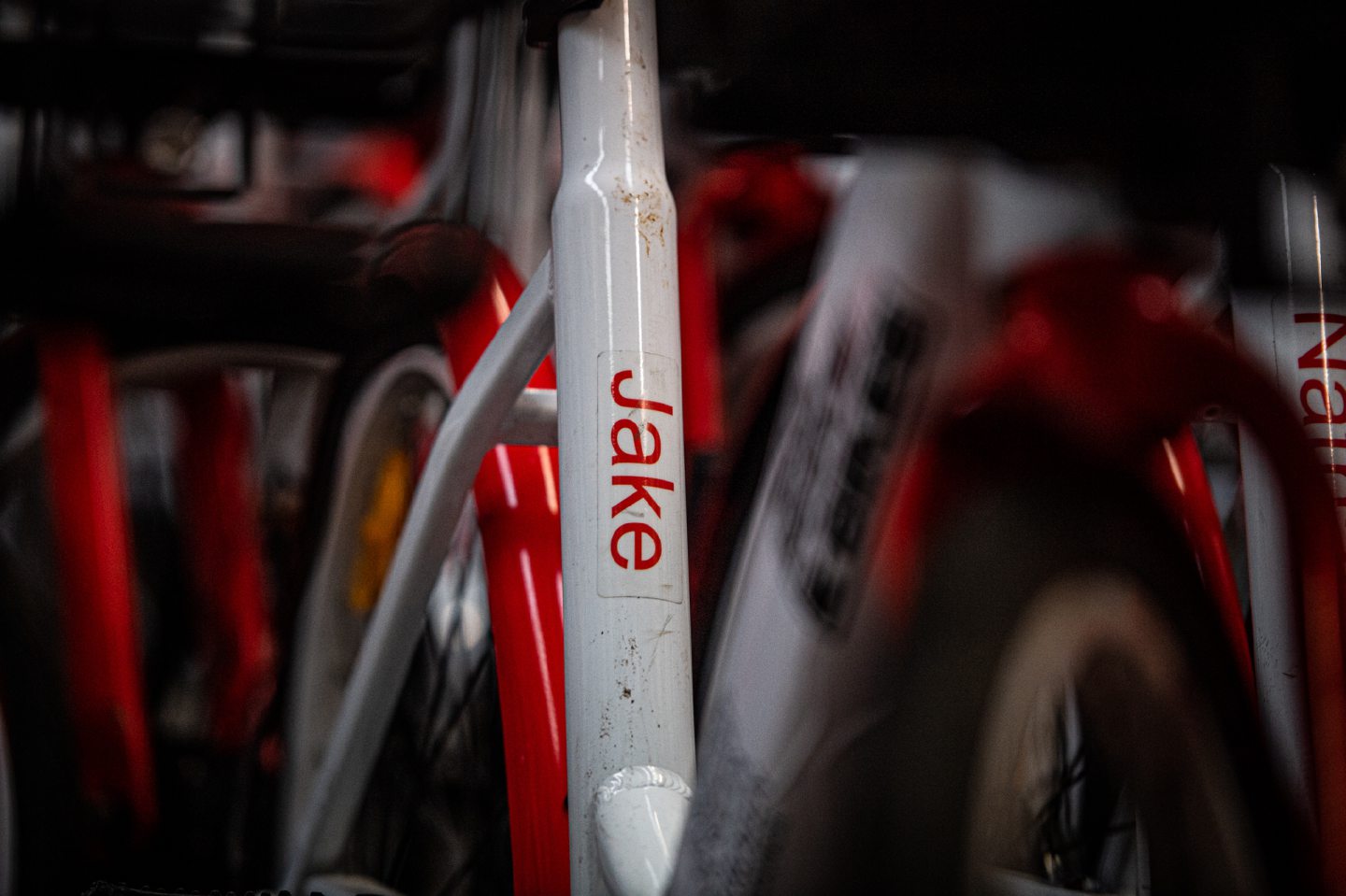 close up of an aberdeen ebike named Jake