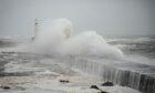 Strong winds are expected to sweep across the Scottish mainland on Friday. Image: Wullie Marr/DC Thomson