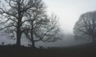 A typical Scottish wintery scene, with stark trees against the mist.