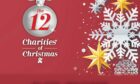 12 charities of Christmas article header day 8