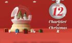 12 Charities of Christmas article header day 11