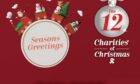 12 charities of Christmas article header day 9