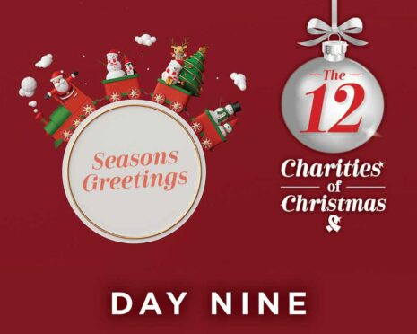 12 charities of Christmas article header day 9