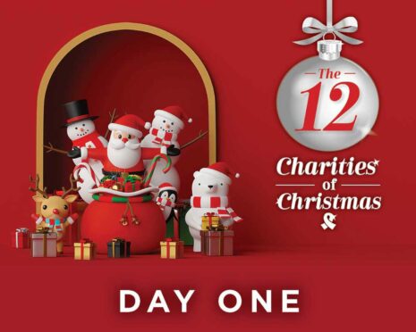 12 Days of Christmas article header for day one