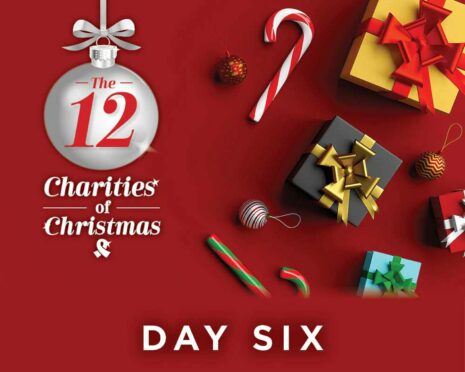 12 charities of Christmas article header day six