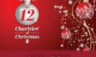 12 Charities of Christmas article header day 10