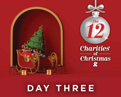 12 Days of Christmas article header day 3