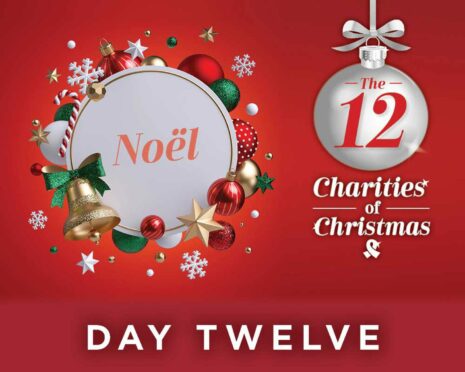 12 Charities of Christmas article header day 12