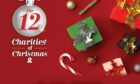 12 Days of Christmas article header day 2