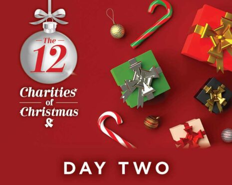 12 Days of Christmas article header day 2