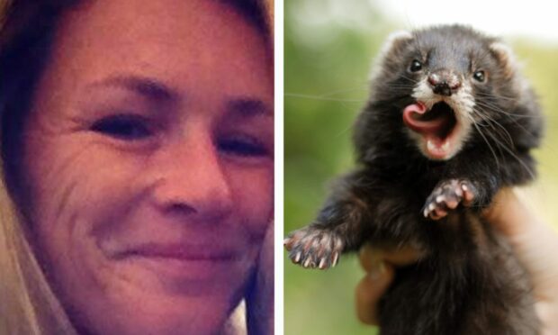 Toni Ramsden "thrust" a pet ferret at her ex-boyfriend. Images: Facebook/Shutterstock