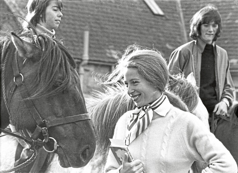 Princess Anne smiling at a horse during an anniversary event for the Highland Pony Society