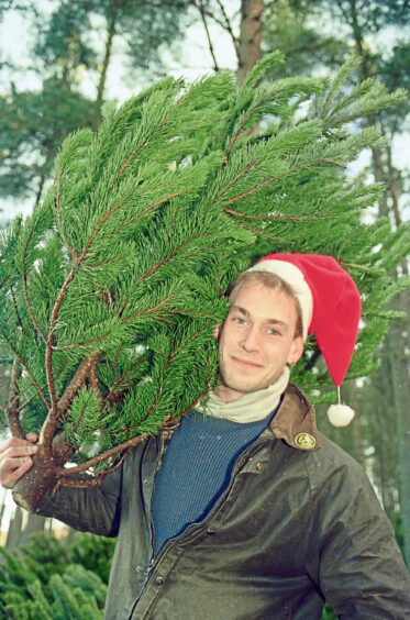 1993 - Andy Kerr prepares for the surge in demand for Christmas Trees at Kirkhill Forest. 