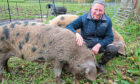To go with story by Nancy Nicolson. Martin Beard is vice president Scotland of the Rare Breeds Survival Trust Picture shows; Martin Beard. Angus. Nancy Nicolson/DCT Media Date; 26/10/2020