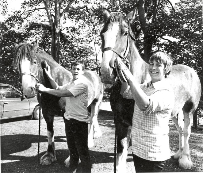 1987 - Derek Skinner with Blossom and Ruth Skinner with Prince at the Aberdeen Clydesdale Show.