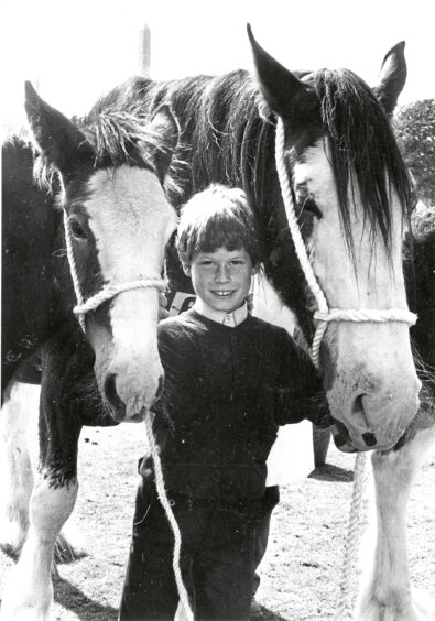 1987 - Ross Gall, of Kintore, with Rosie and her filly at the Aberdeen Clydesdale Show.