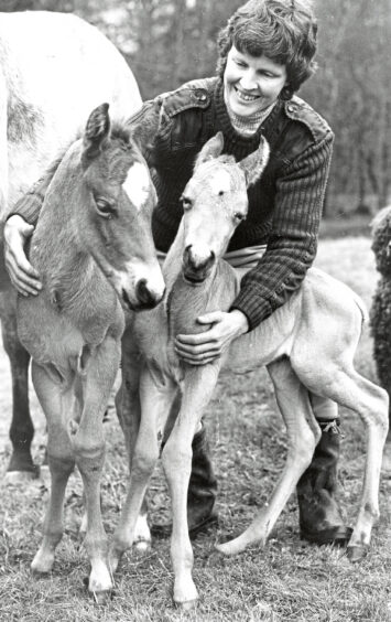 1985 - Shuna Mardon in Inverurie with American Quarter horse foals Waccabuck Dollar - the first twins of their breed born in Britain - 