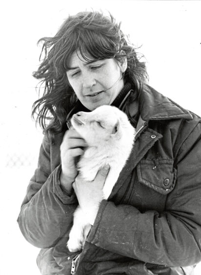 1981 - Zebedee the baby goat with animal attendant Wilma Findlay at Downies farm.