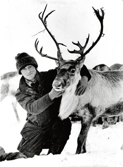 1985 - Glenmore reindeer herdsman Alan Smith with Angus, who he rescued from a deep hole five years previously.