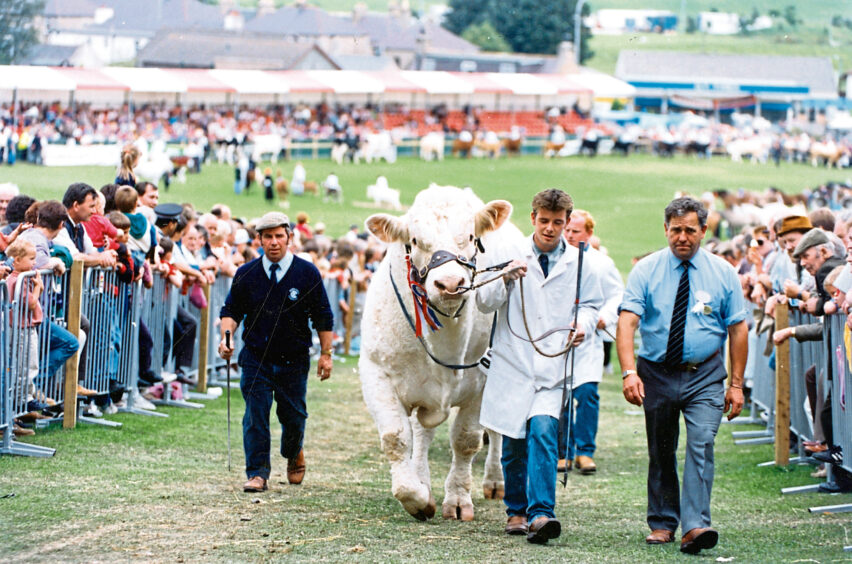 1996 - Raymond Irvine, from Inverlochy, Tomintoul, proudly leads the Charolais leader and overall champion of the Keith Show out of the ring following the parade of animals.