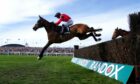 Owners Bruce and Carron Wymer hope Ahoy Senor could be a Cheltenham Gold Cup winner in 2023.