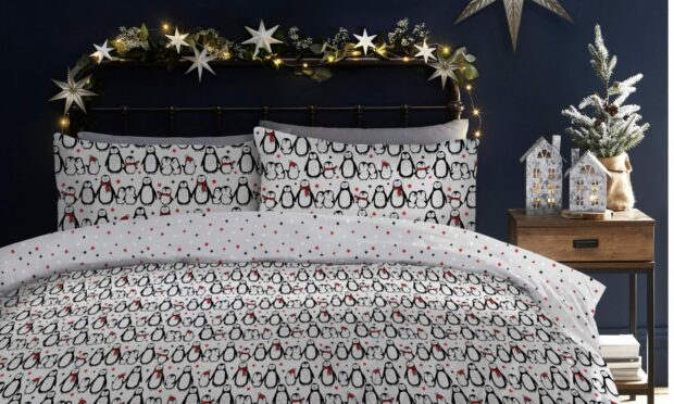 Christmas Penguin Duvet Set, £30, M&Co.