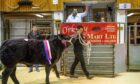 Auctioneer Graham Low selling the 2021 primestock champion from Balfour Baillie. Image: Colin Keldie/Orkney Auction Mart