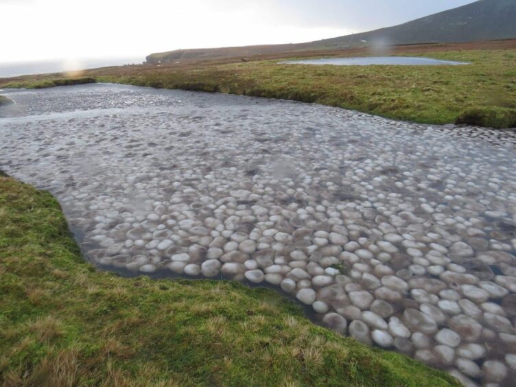 Ice balls on Rossie's Loch in Foula, Shetland 