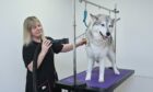 The Pooch Pod owner Alison Tewnion is pictured with client 'Saskia' inside her new premises at Moycroft House, Elgin.
Image: Jason Hedges/ DC Thomson