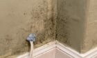 Louise West has been dealing with mould in her Aberdeen flat for the past four years. Image: Kenny Elrick/DC Thomson.