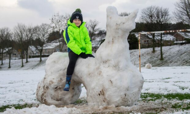 Liam MacEachen of Westhill with his Snow Rhino Dino. Image: Kami Thomson / DC Thomson